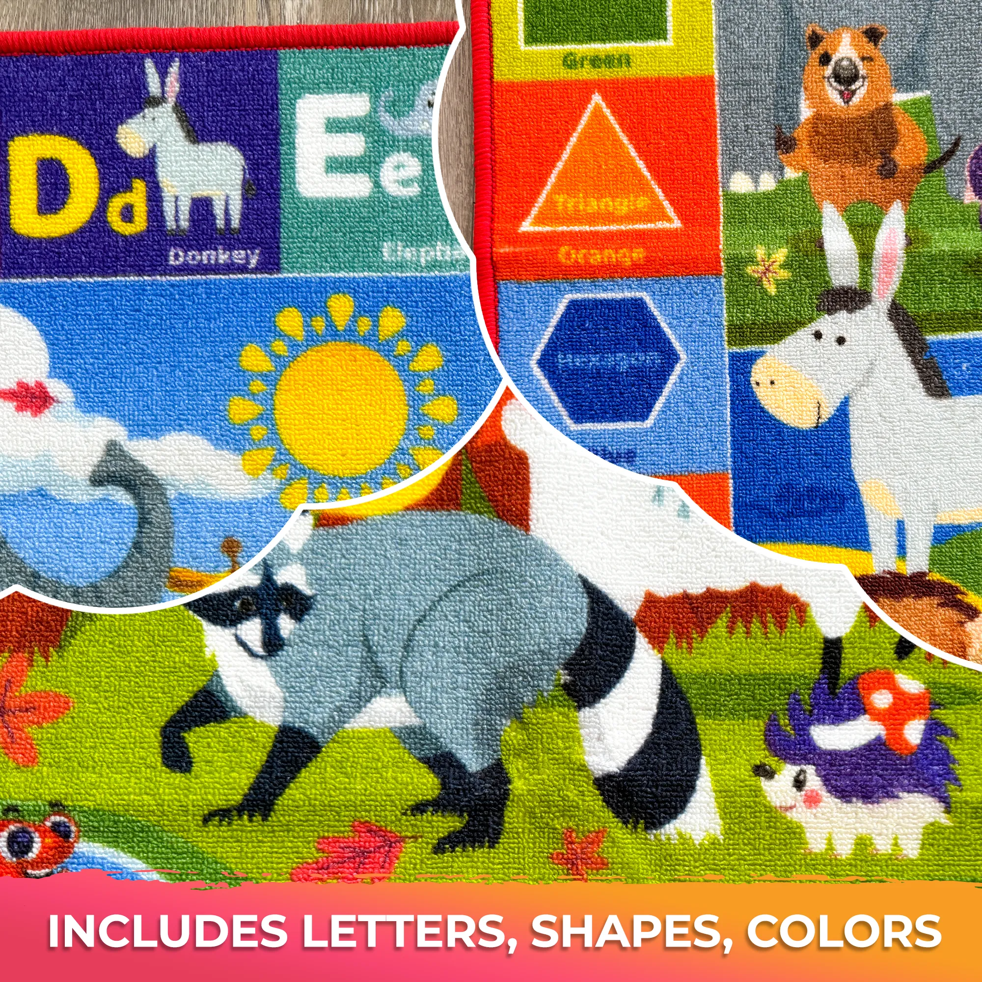 Classroom Rug for Kids | 59x39 ABC Rugs | Animals