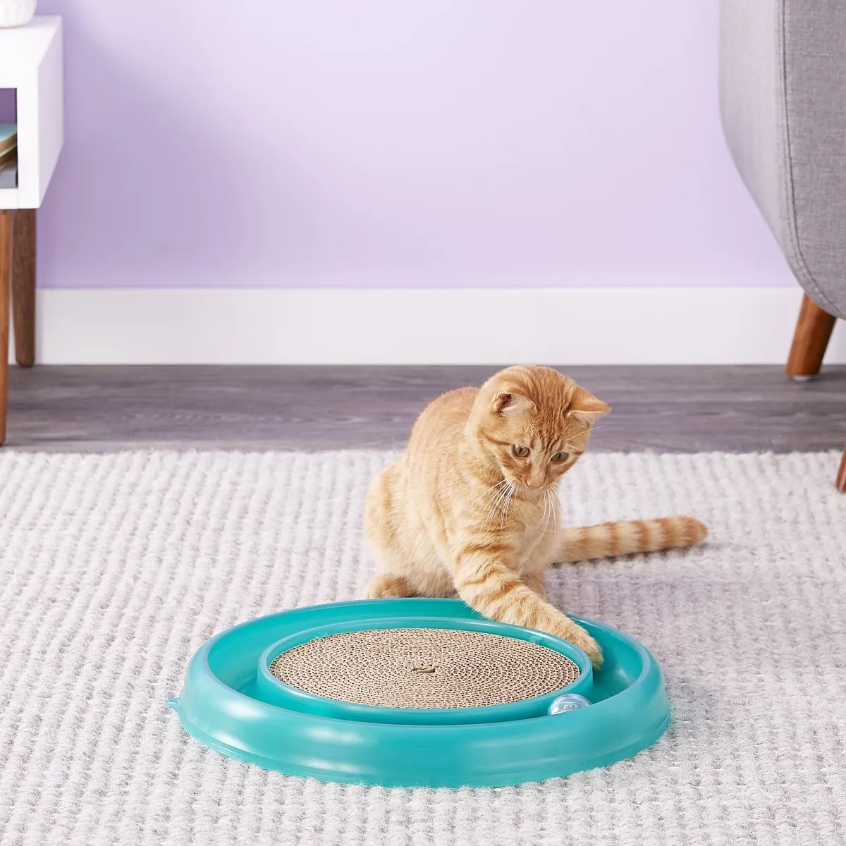 Coastal Bergan Turbo Scratcher Cat Toy