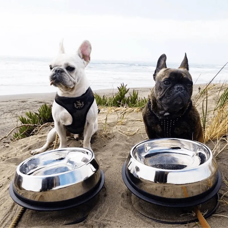 Enhanced Pet Bowl For French Bulldog