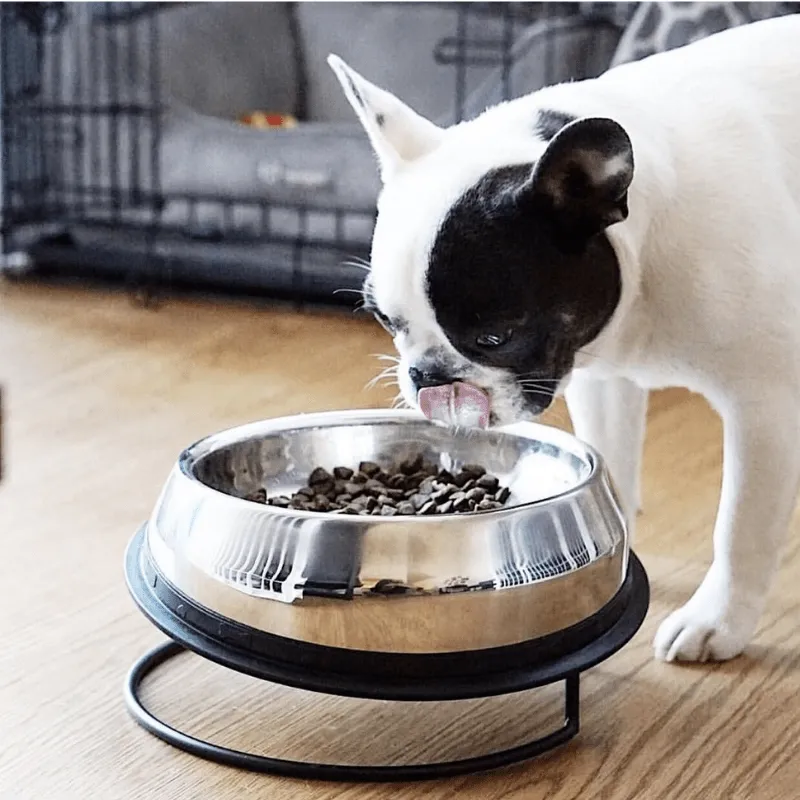 Enhanced Pet Bowl For Mastiff