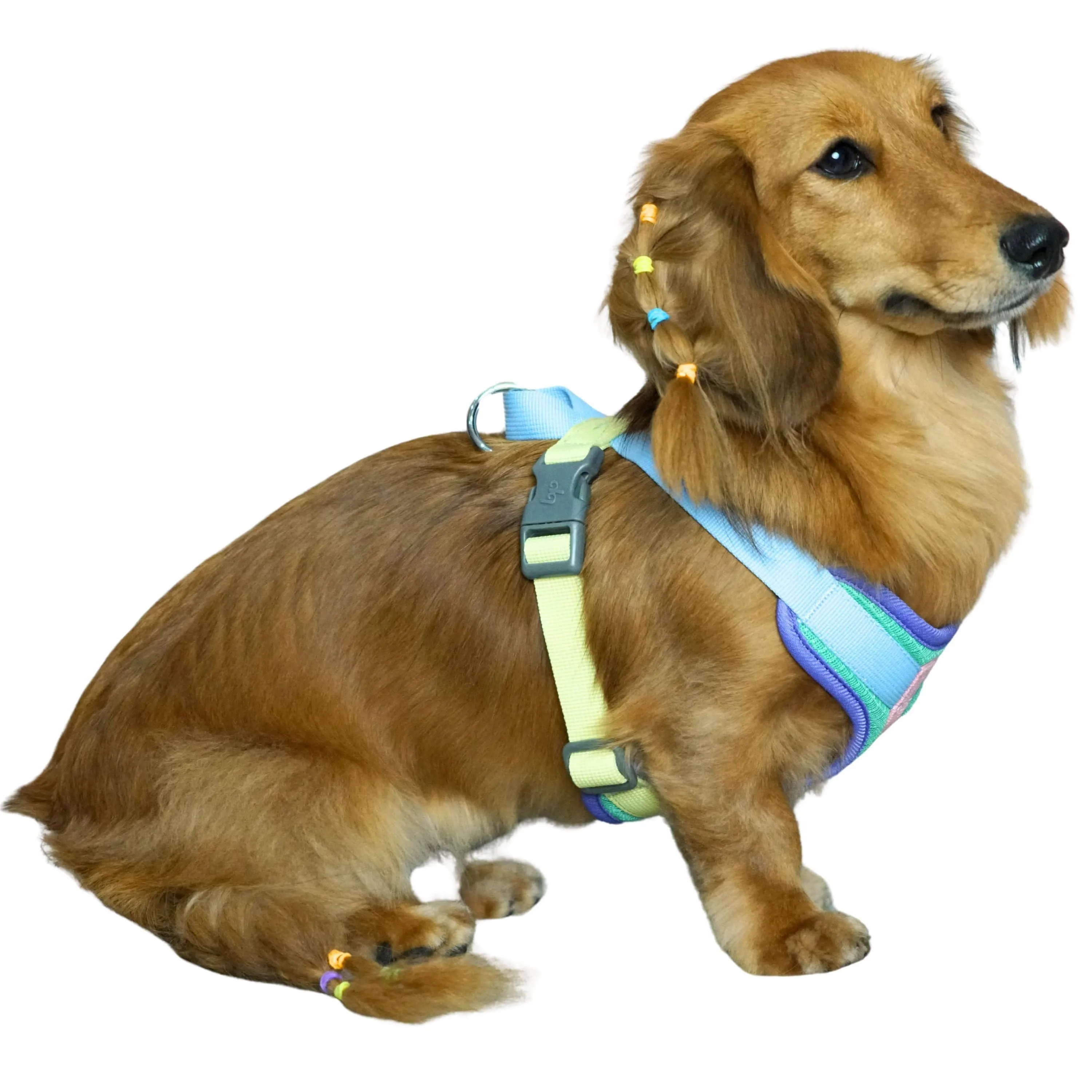 Vibrant Mesh Padded Ultra Cool Lightweight Dog Harness Vest