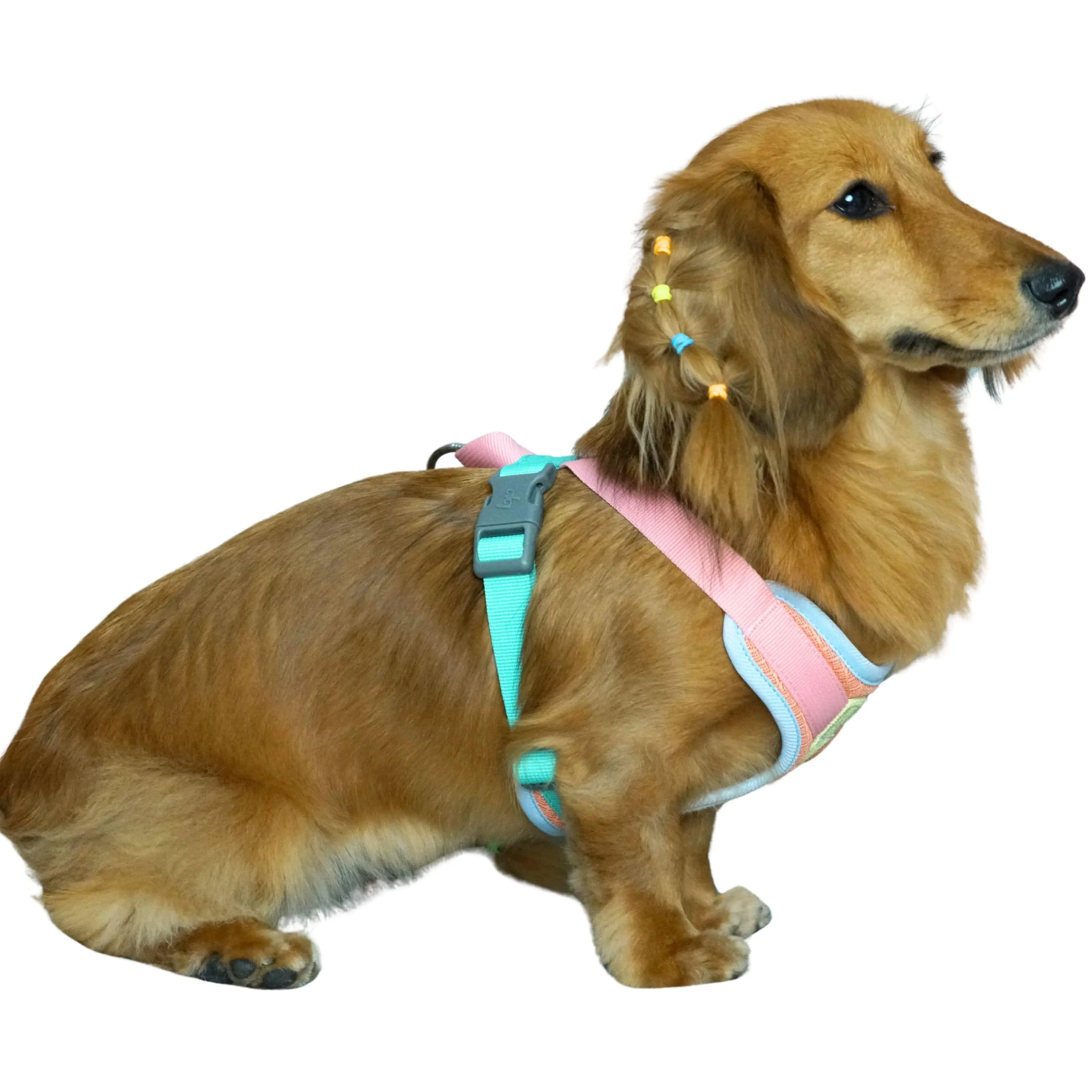 Vibrant Mesh Padded Ultra Cool Lightweight Dog Harness Vest